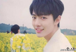 娱乐圈吃瓜cp博君一肖,娱乐圈的甜蜜瓜田，CP互动引粉丝狂欢